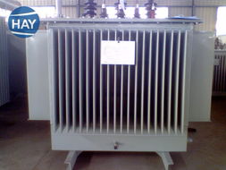 s11 800 10 0.4油浸式變壓器,s11 800油浸式變壓器型號價格 廠家 圖片