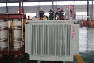 變壓器油及其相關設備 濾油機、油浸式變壓器與普通變壓器油概述