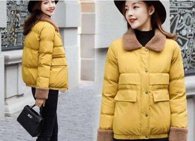 中國羽絨制品國內(nèi)市場潛力巨大,面臨的是一個(gè)巨大的等待喚醒的市場