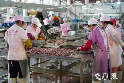 完善生態(tài)鏈,拉長(zhǎng)產(chǎn)業(yè)鏈,扣緊利益鏈 徐州沛縣這樣穩(wěn)住80億元鴨產(chǎn)業(yè)