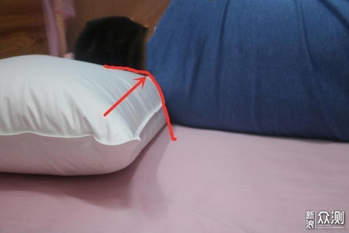 羽絨產(chǎn)品怎么選 四款鵝絨枕橫評(píng)盡在此篇