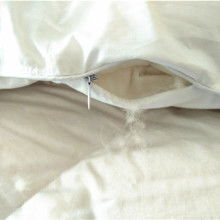 淮安市淮安區(qū)鑫豐羽絨制品廠